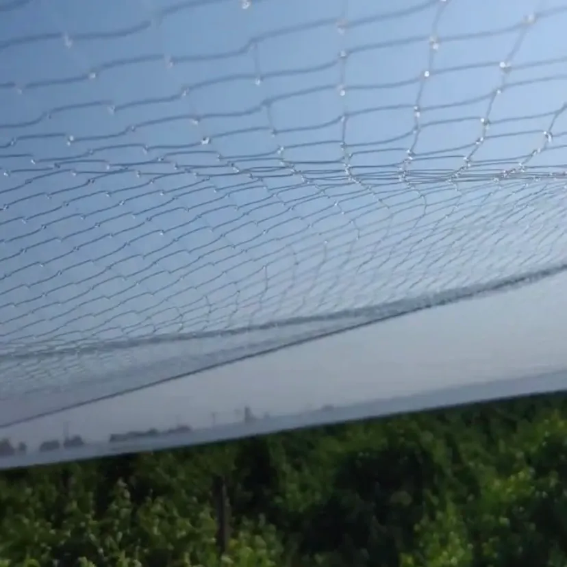 Read More About Invisible Netting