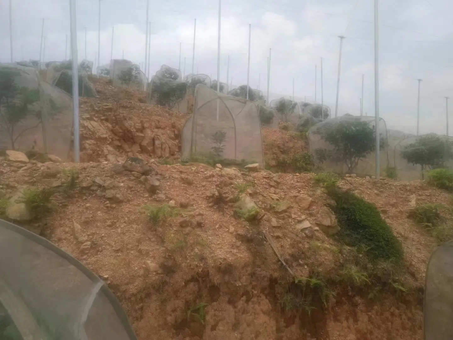 big bug netting big bug netting