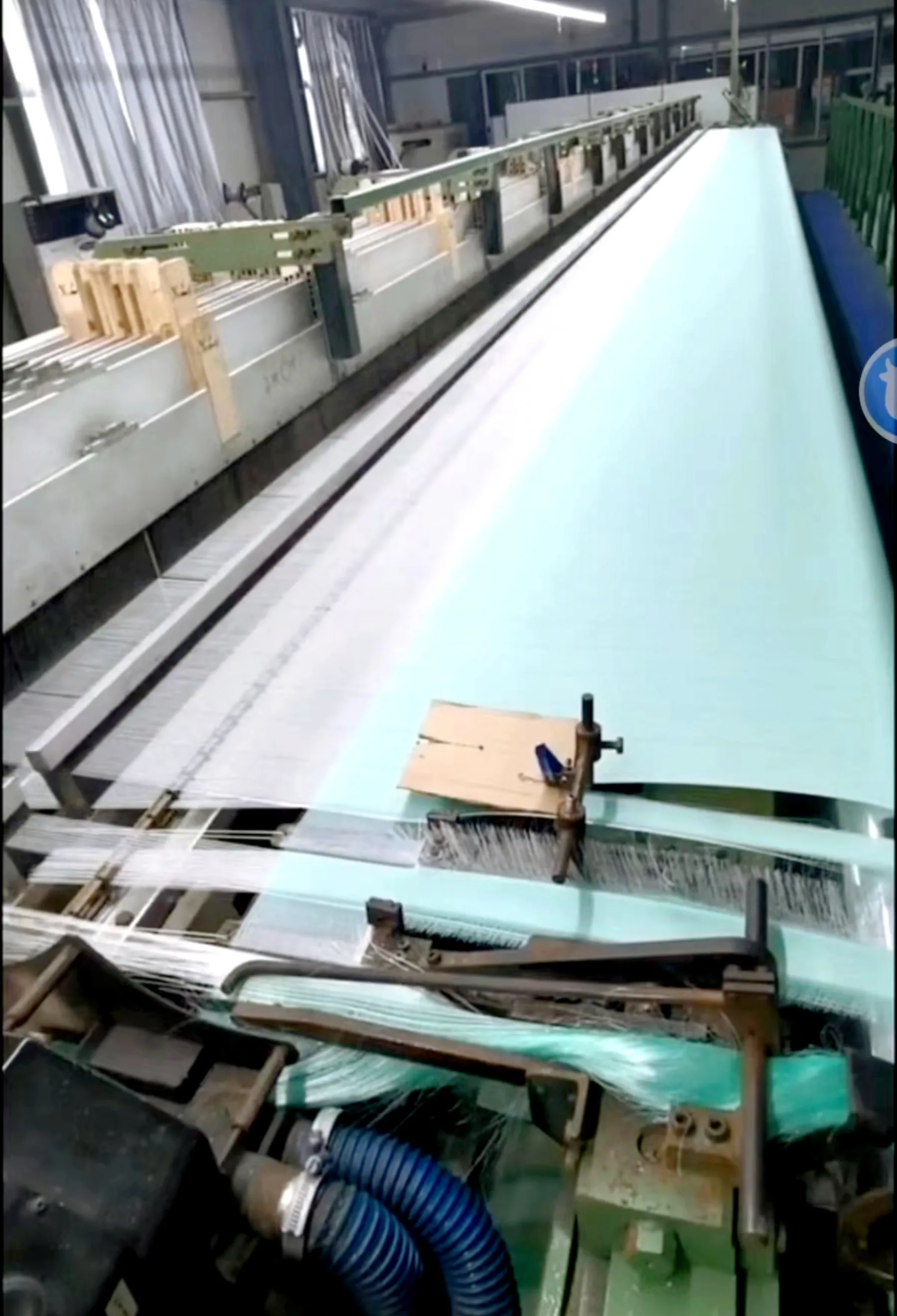 Exploring the World of Big Bug Netting Techniques and Applications