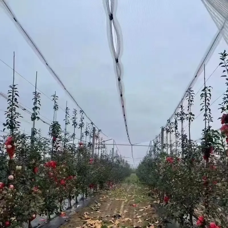 کیسه‌های پلاستیکی مخصوص نوشیدنی‌ها برای حمل و نگهداری بهتر