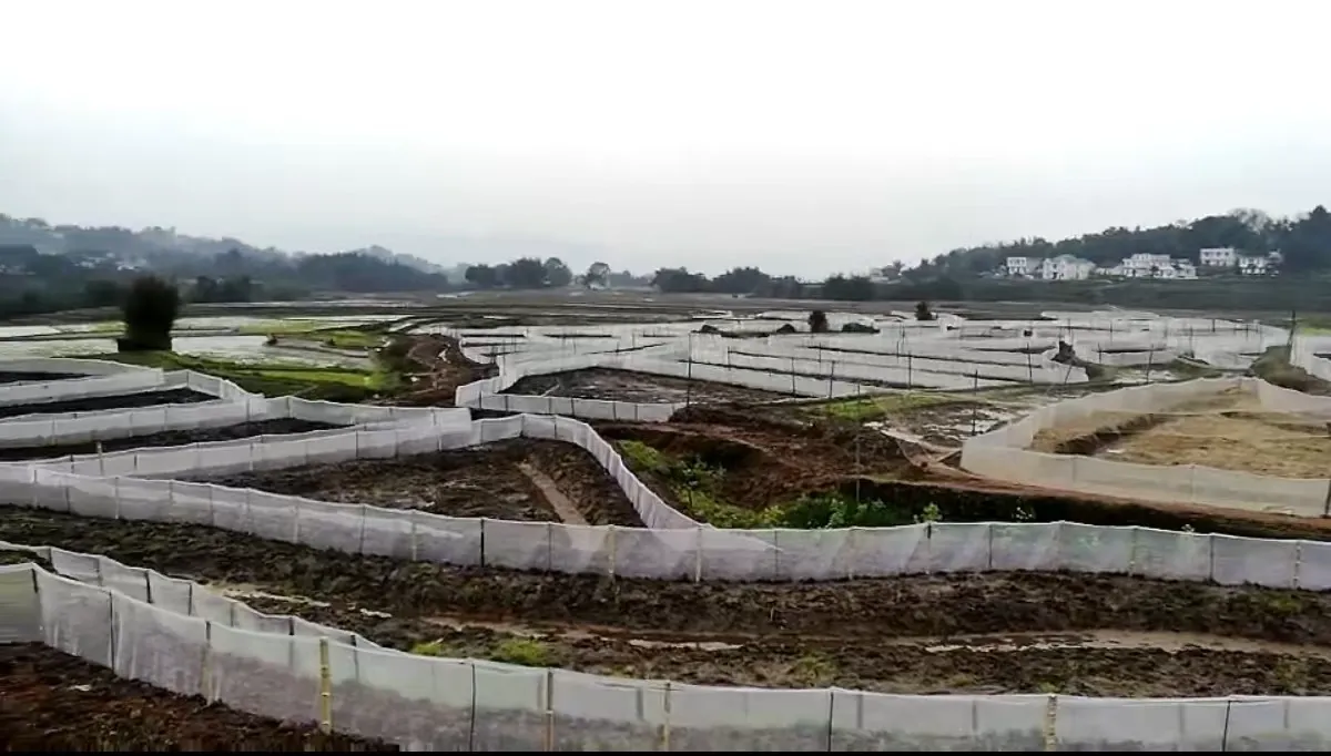 Trends and Analysis of Current Plastic Net Market Prices in 2023