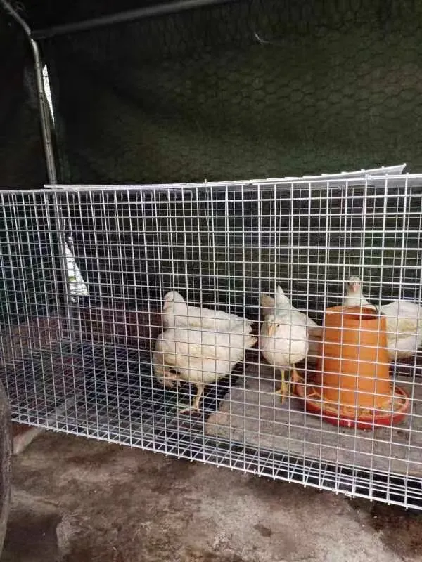 water hammer arrestor dishwasher