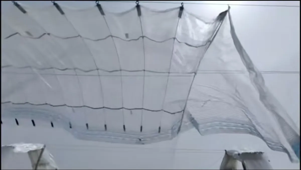 Durable Stainless Steel Insect Mesh for Effective Bug Protection and Ventilation