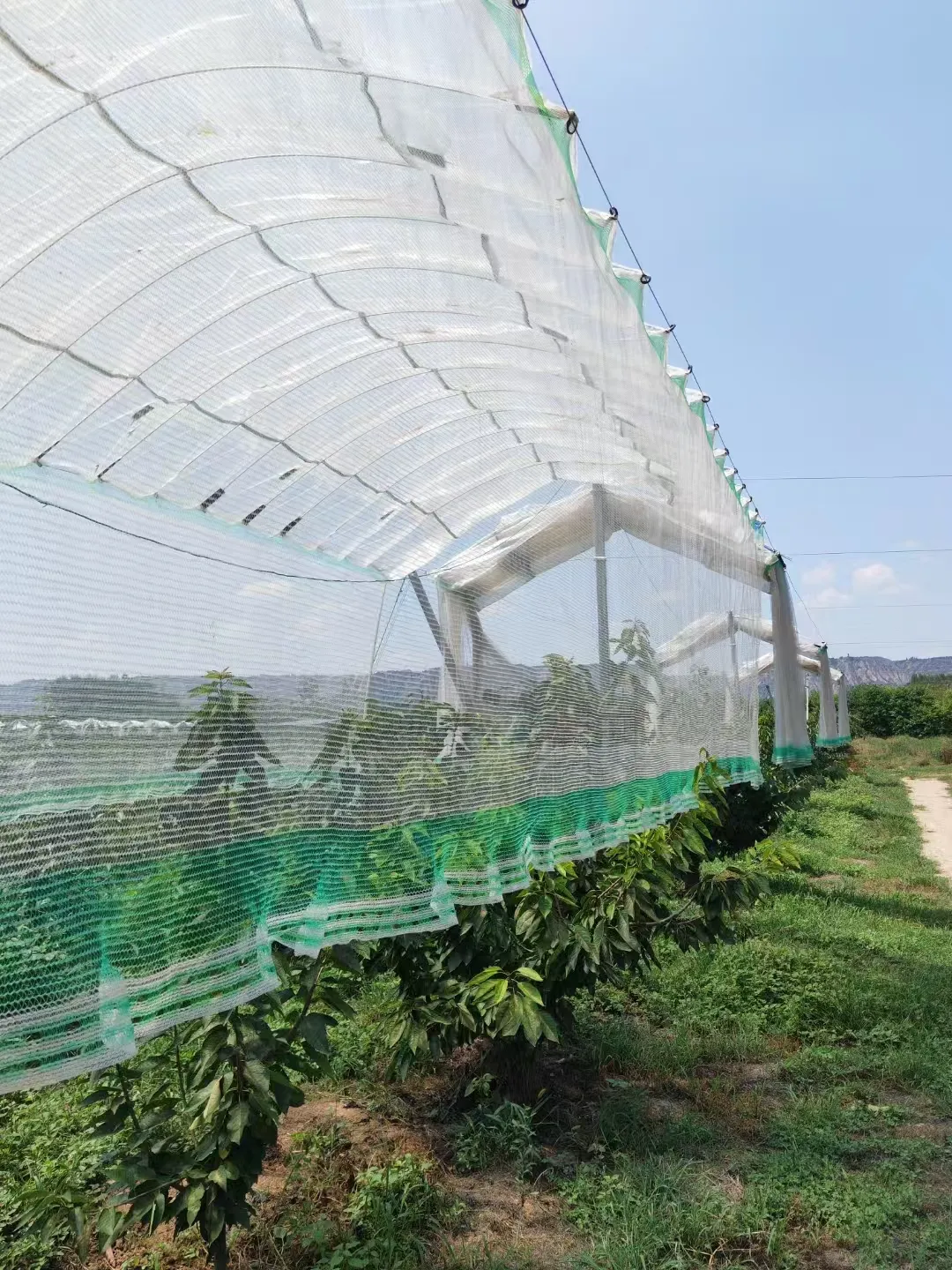 Read More About Bird Netting For Roofs