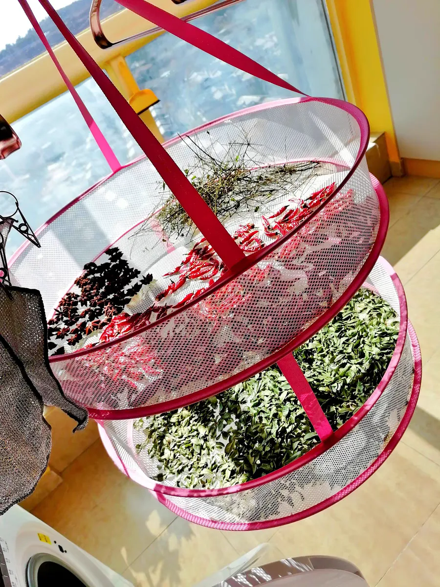 Choosing the Best Bird Aviary Netting for Your Outdoor Space and Pet Safety