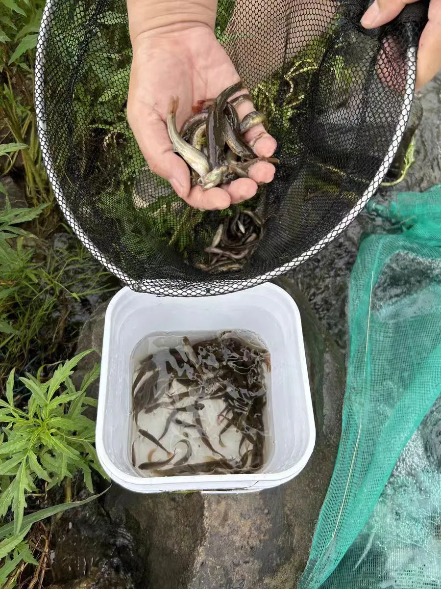 Durable and Safe Options for Plastic Safety Netting in Various Applications