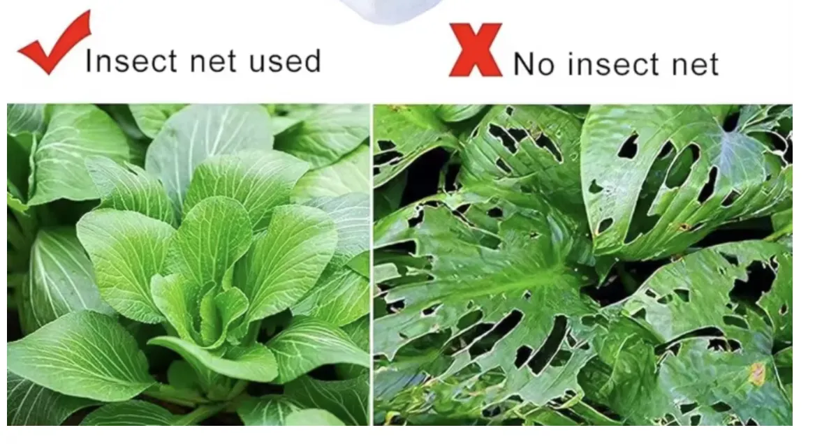 Exploring the Impact and Importance of Safety Net Fans in Modern Society