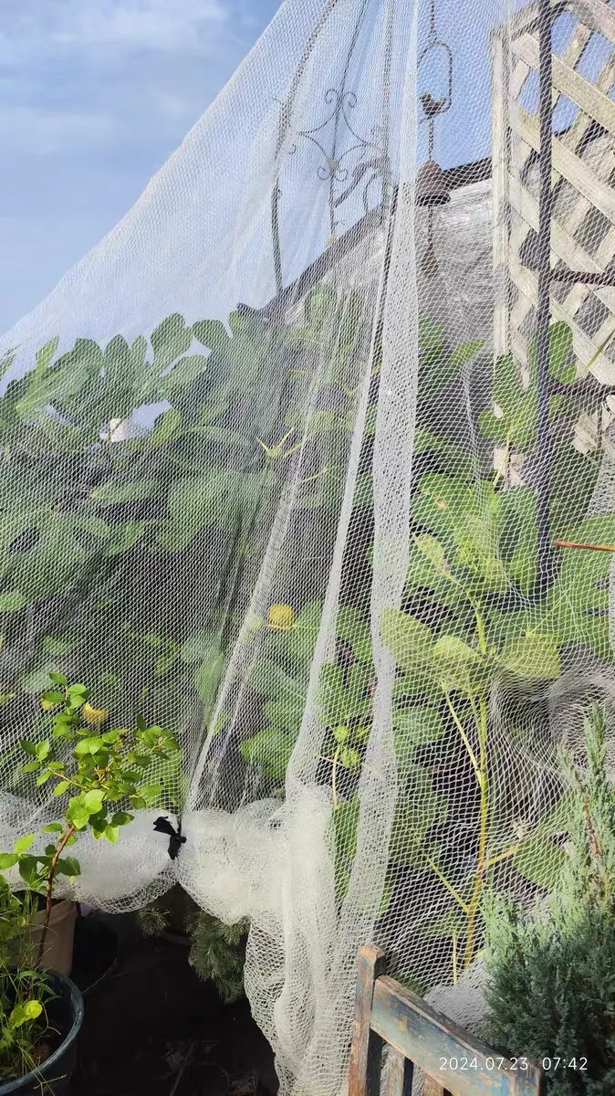 gabion wire specification