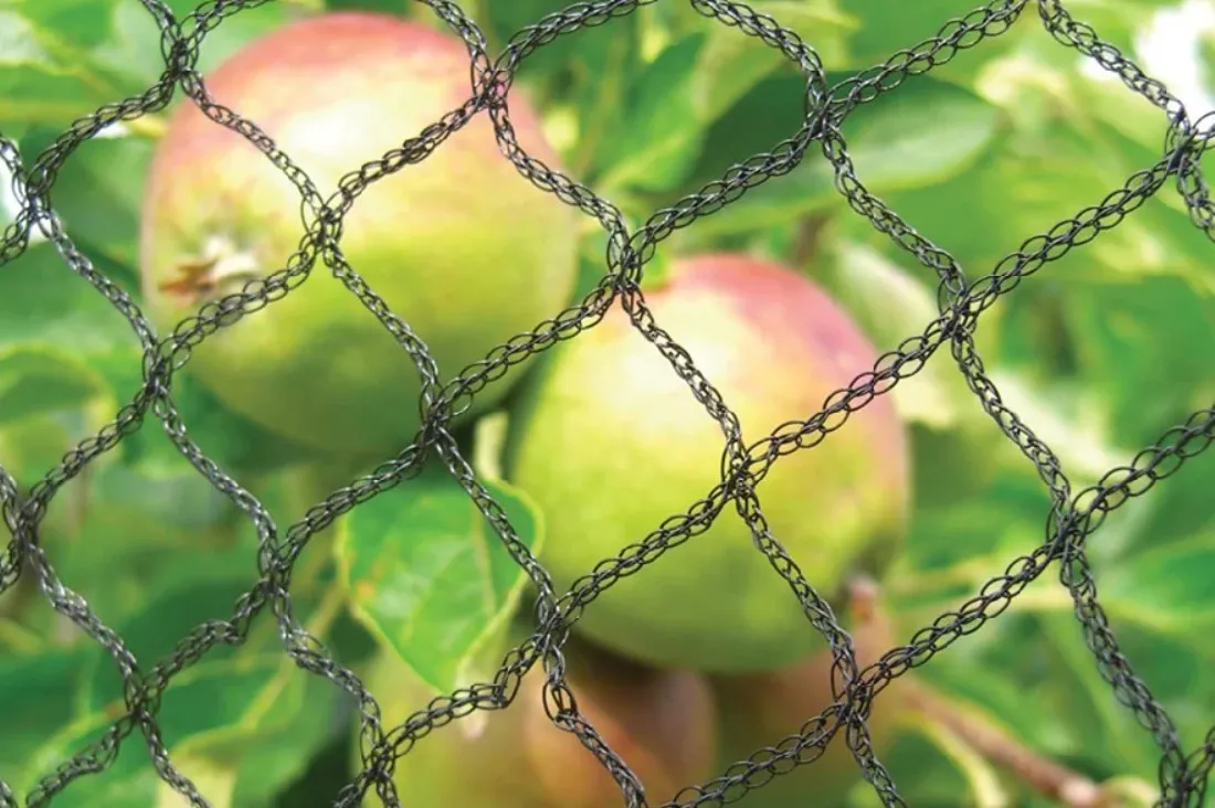 Durable Black Nylon Mesh Netting for Versatile Applications and Enhanced Protection