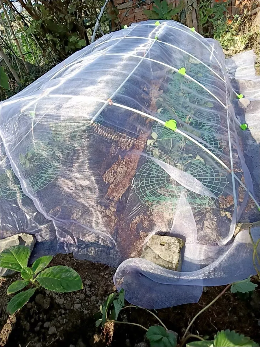 Innovative Bug Netting Fabric Solutions for Effective Insect Protection