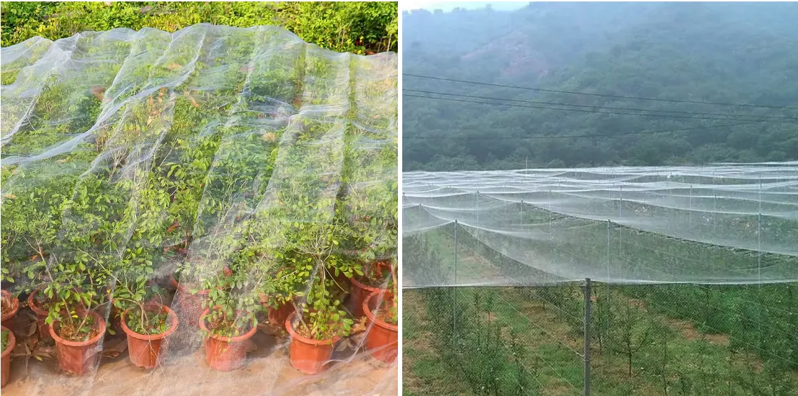 Galvanized Wire Mesh for Durable Hardware Applications and Outdoor Projects