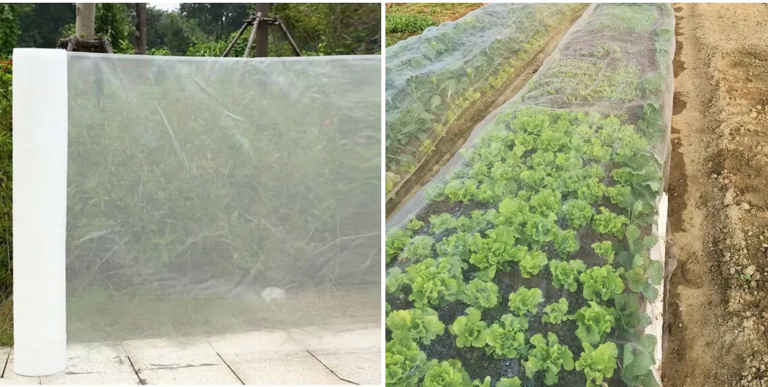 Durable and Versatile Applications of Woven Stainless Steel Mesh for Industrial Use Durable and Versatile Applications of Woven Stainless Steel Mesh for Industrial Use