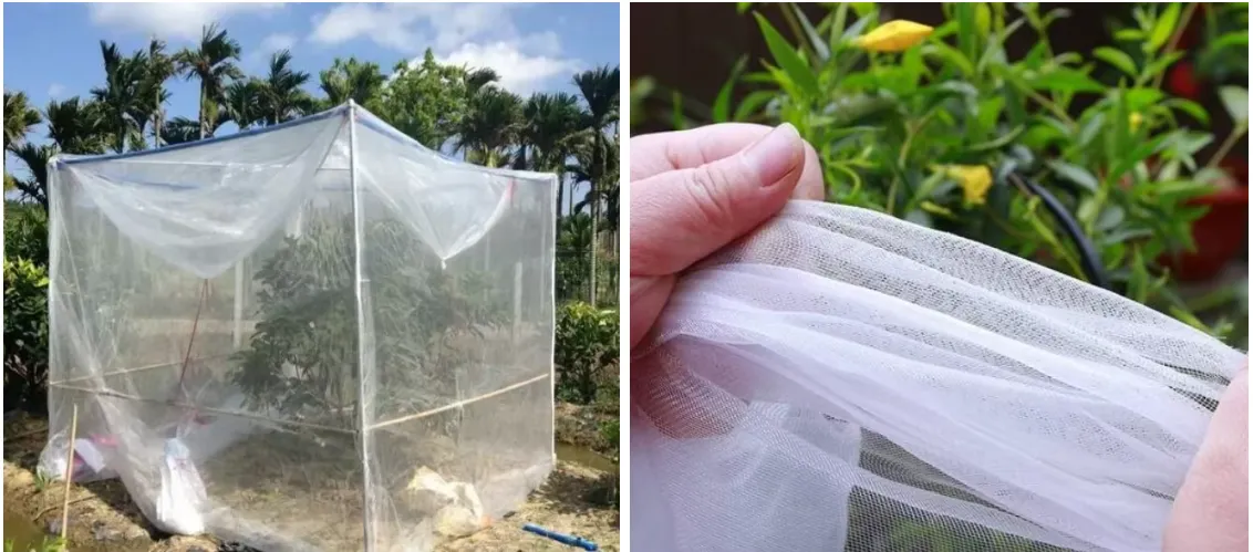 Exploring the Benefits and Uses of PP Plastic Bags in Everyday Life