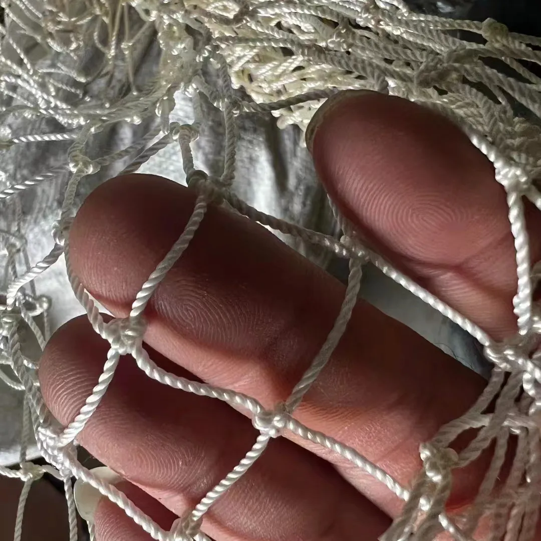 Effective Strategies for Protecting Crops with Bird Prevention Netting Solutions Effective Strategies for Protecting Crops with Bird Prevention Netting Solutions