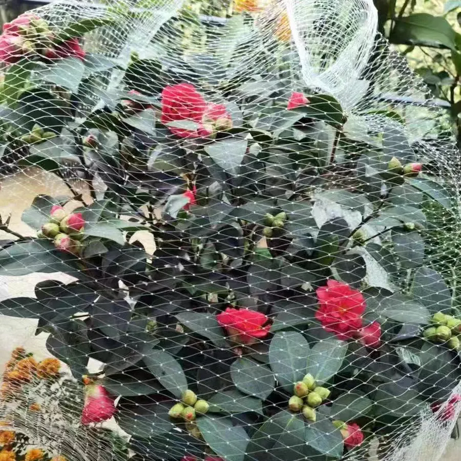 Durable Steel Mesh Solutions for Various Industrial Applications and Uses