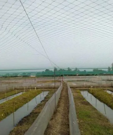 Durable Stainless Steel Wire Mesh Screens for Versatile Applications and Enhanced Performance