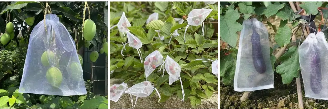 24 mesh Anti-insect netting