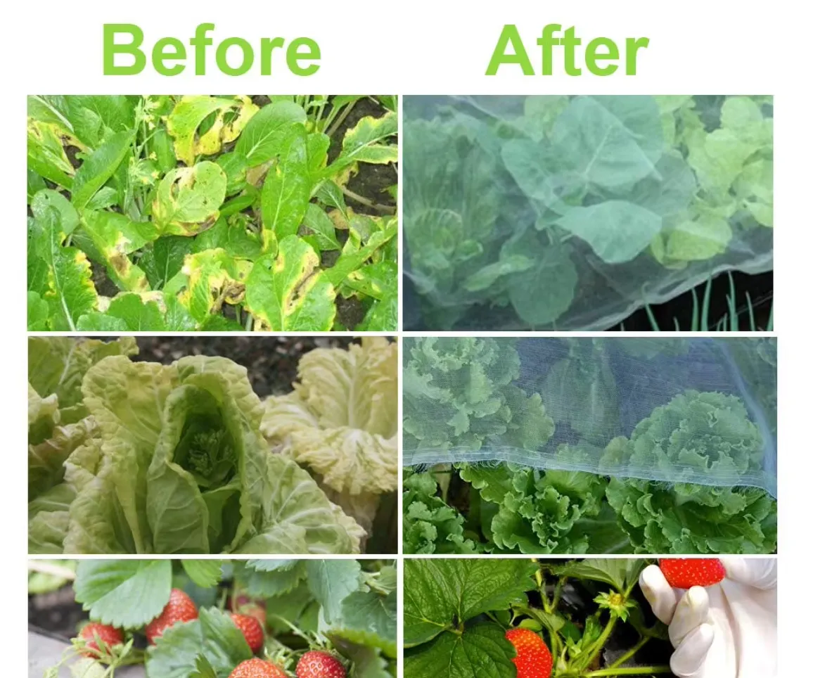 Creative Ideas for Welding Fence Wire Projects and Designs