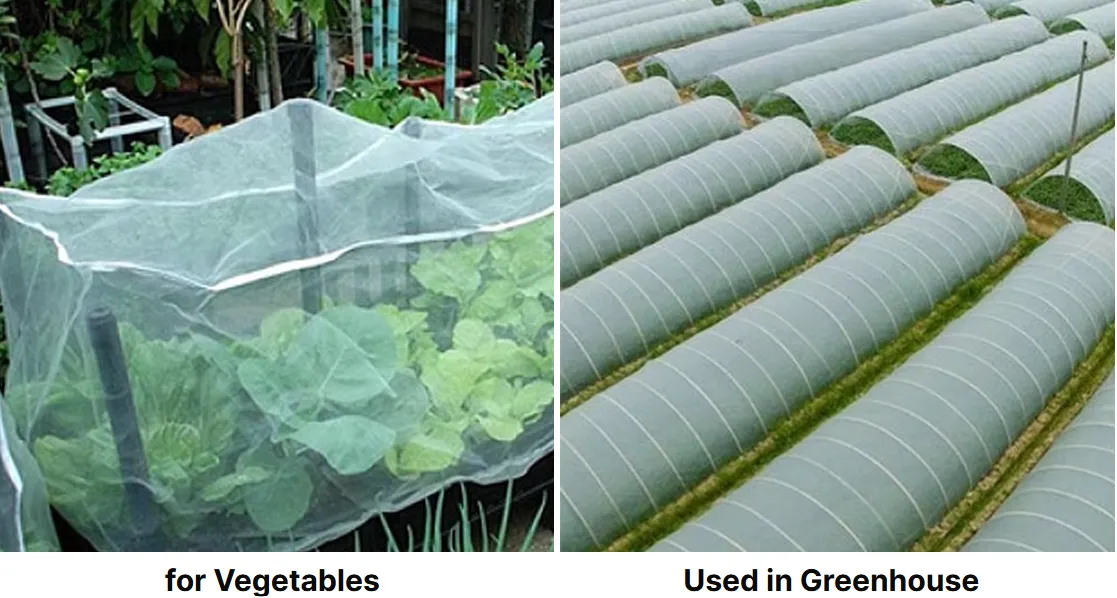 Innovative Bird Netting Solutions for Effective Protection and Environmental Harmony