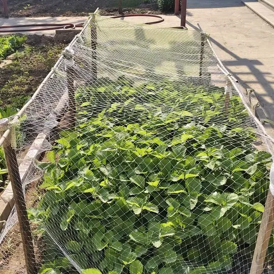 Effective Solutions for Durable Livestock Wire Fencing and Management Strategies