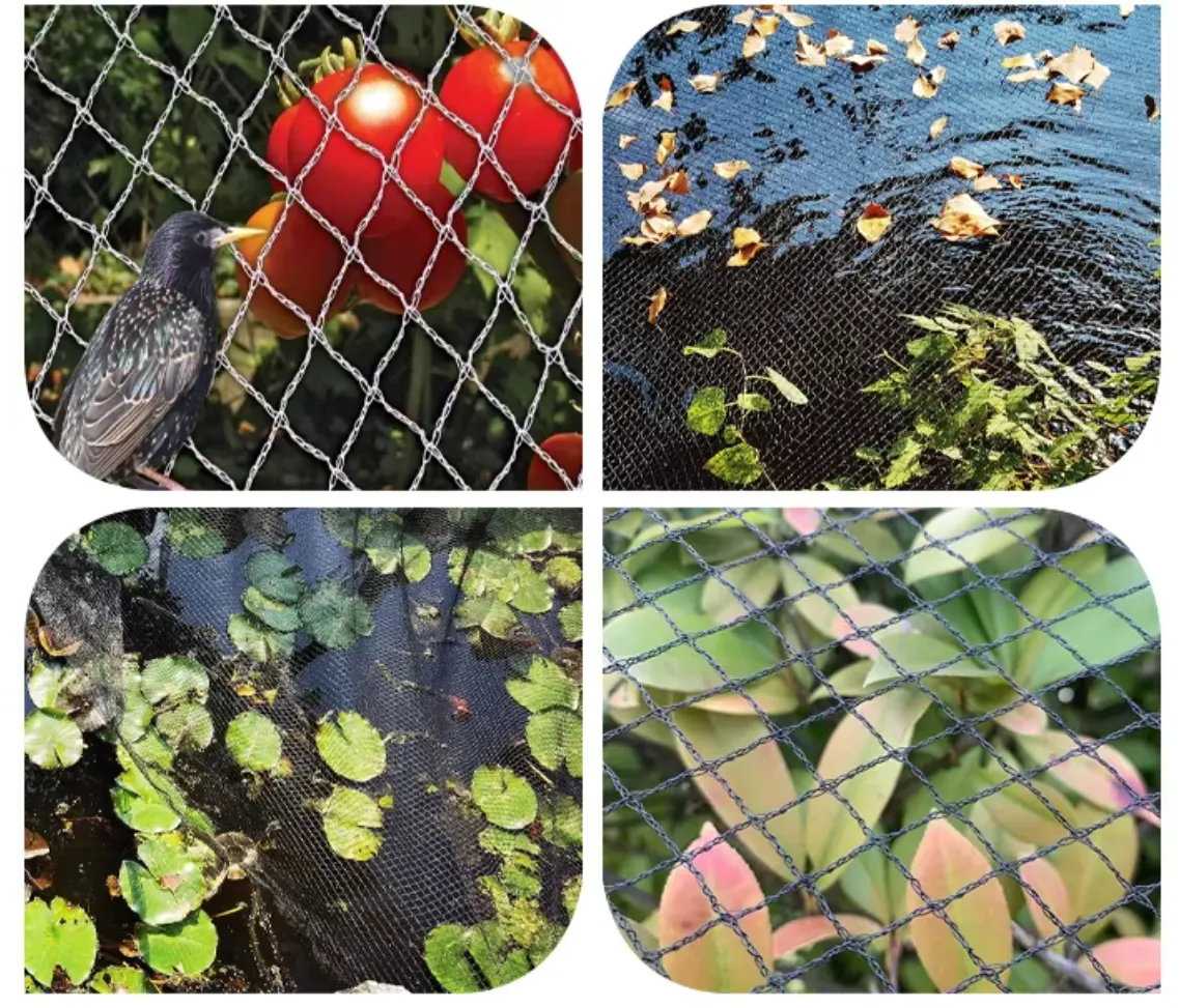 Read More About bird prevention netting