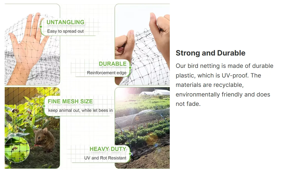 Decorative Steel Mesh for Versatile Design and Innovative Applications