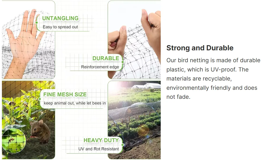 Durable 12 Gauge Wire Mesh for Versatile Applications and Enhanced Security Solutions