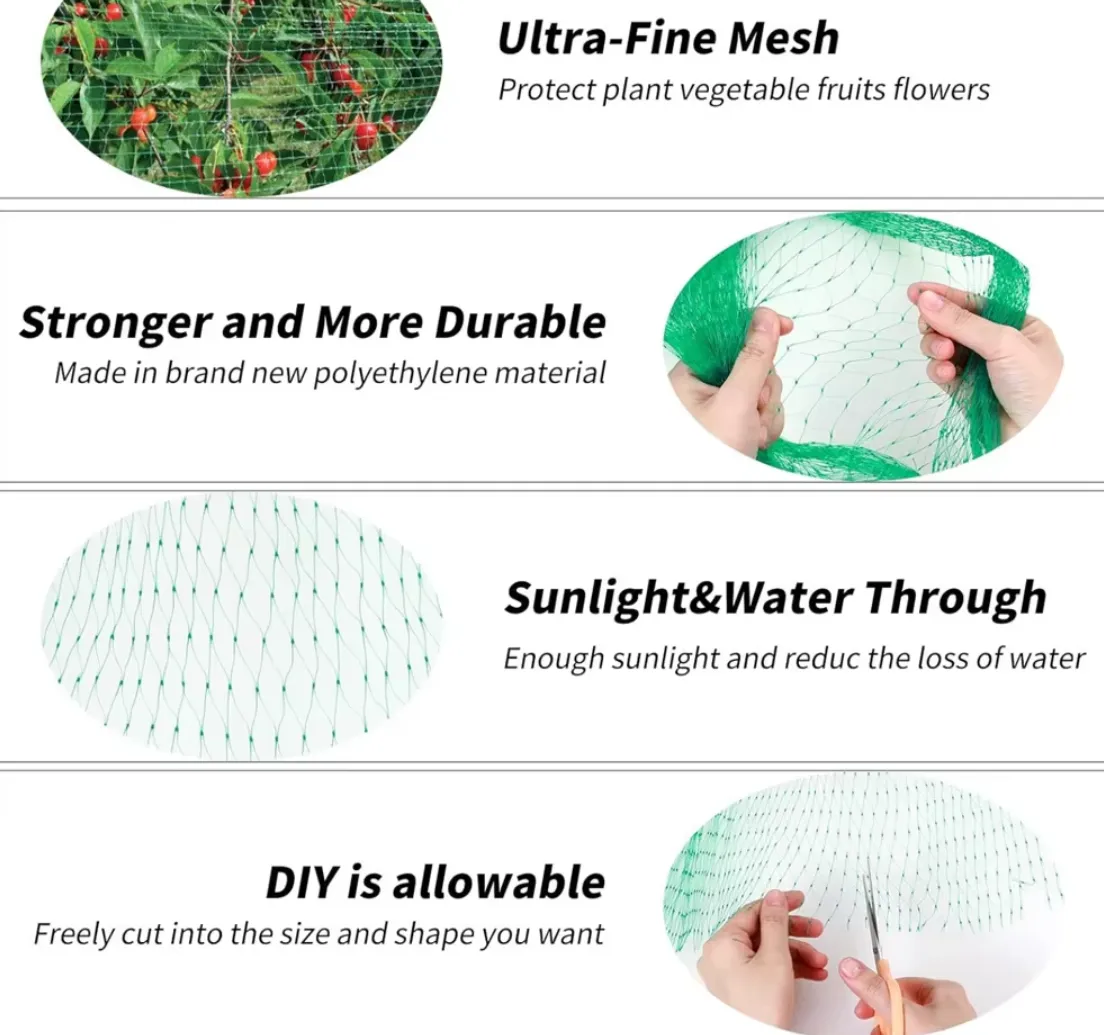 Read More About commercial bird netting