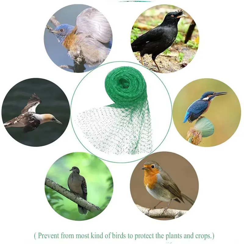 Read More About net for birds
