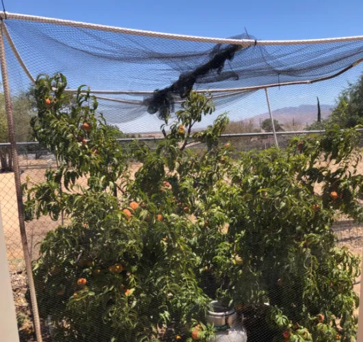 Versatile Plastic Mesh Solutions for Various Applications and Industries