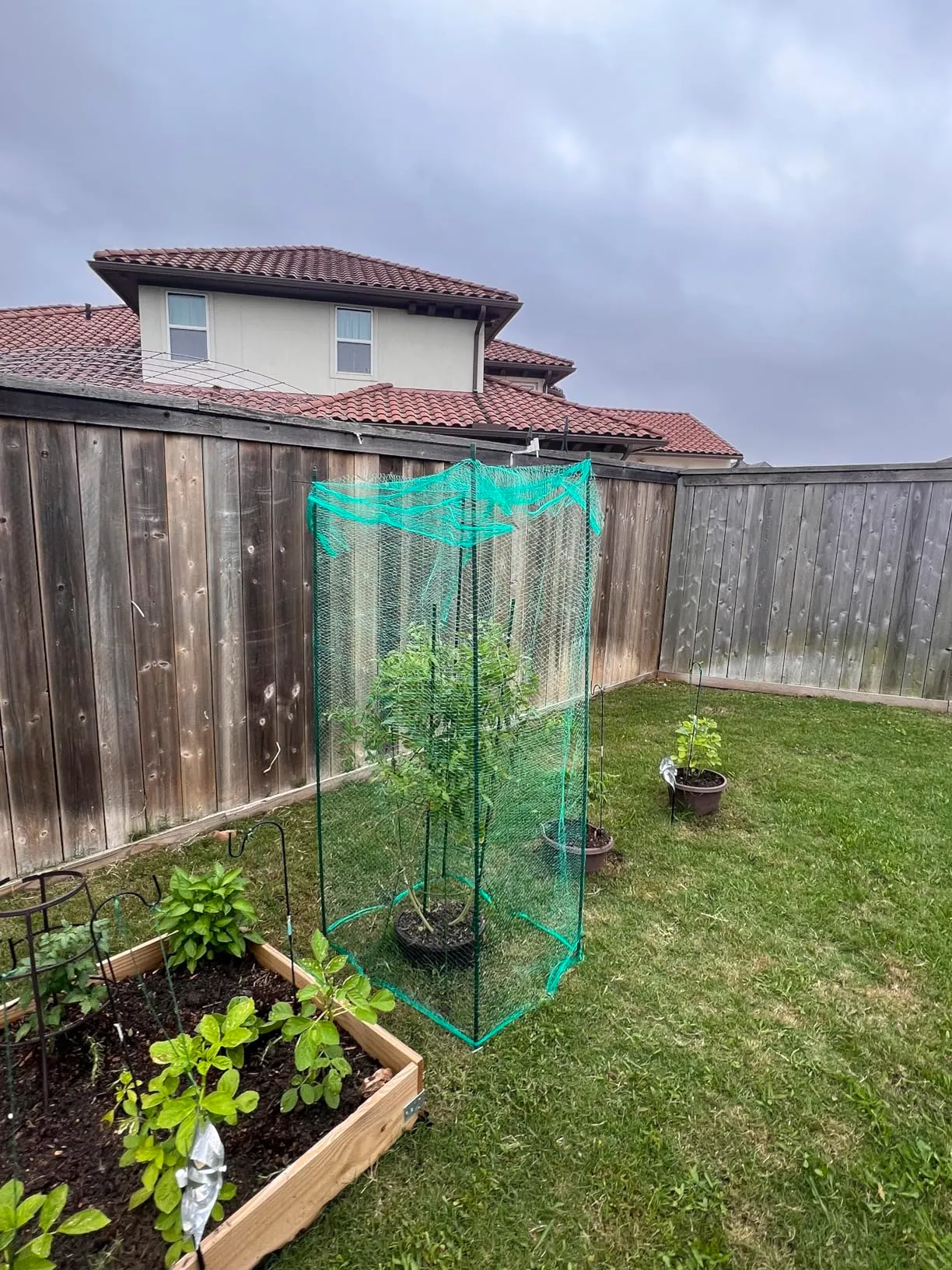 Food Safe Polyethylene Bags for Storing and Preserving Fresh Foods