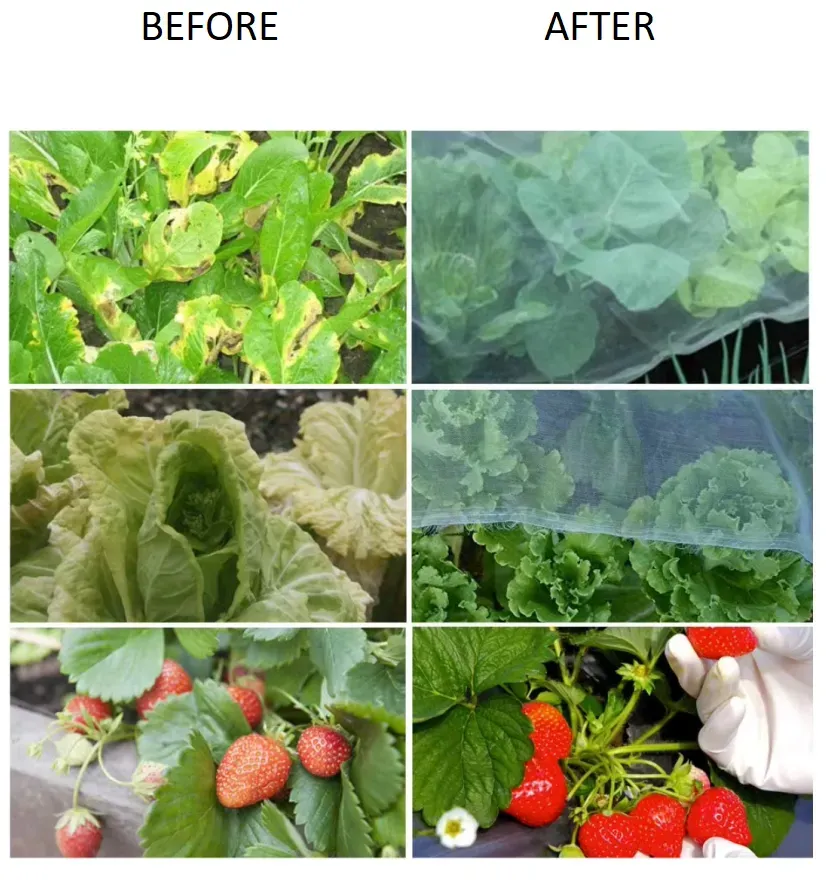 Innovative Solutions for Sustainable Farm Netting and Crop Protection Strategies