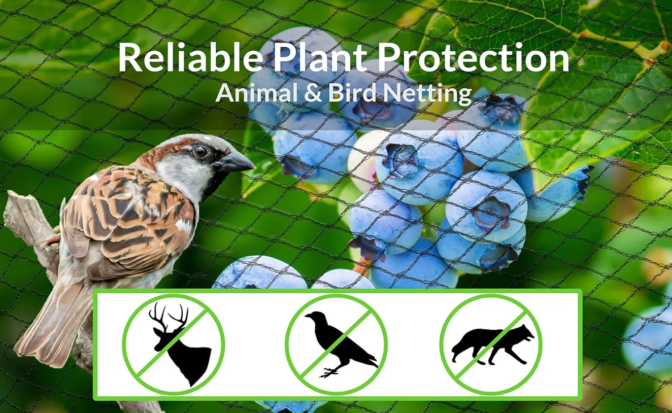 Read More About bird netting