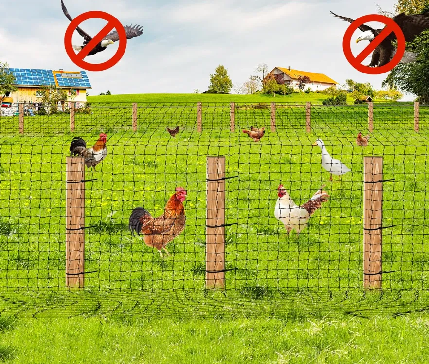 Read More About solar bird mesh