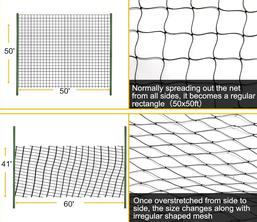 Read More About bird catching nets