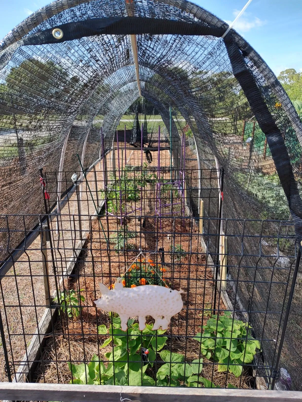 Exploring the Creative Potentials of Mesh Breeder in Digital Art Creation