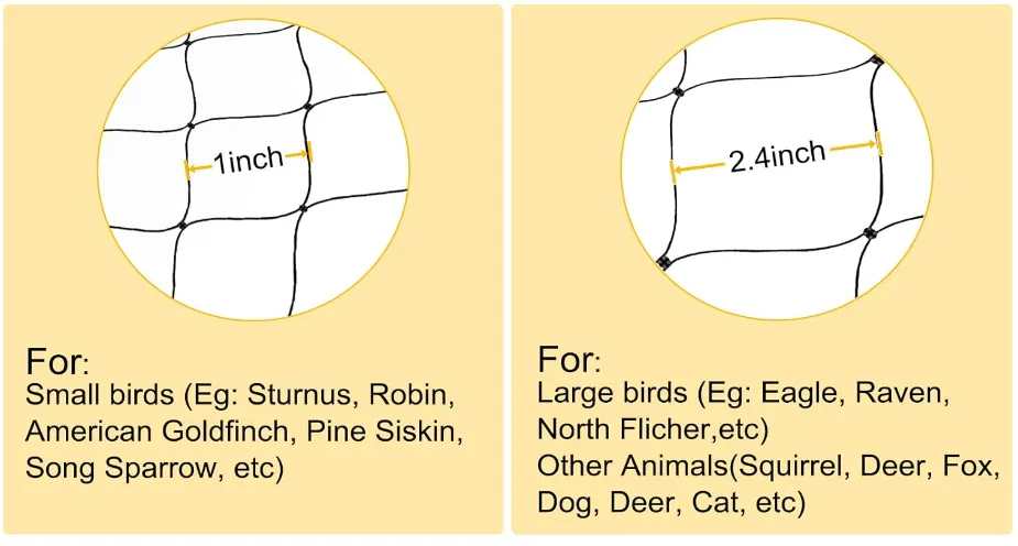 Read More About bird in net