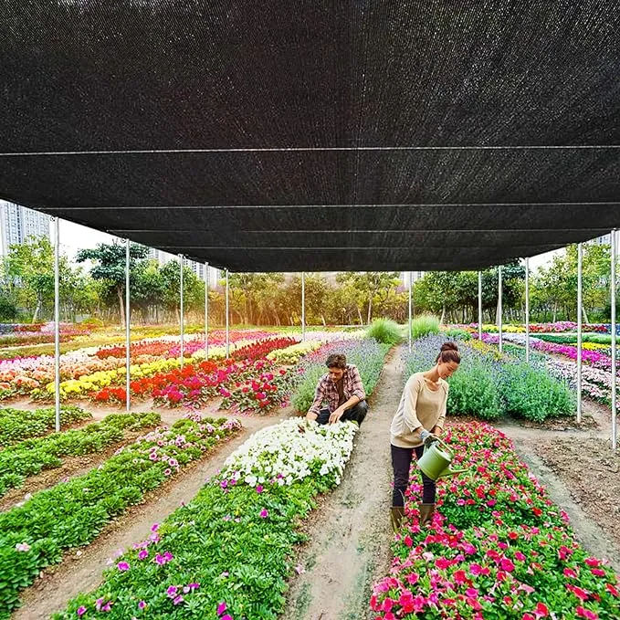 Read More About sunshade net