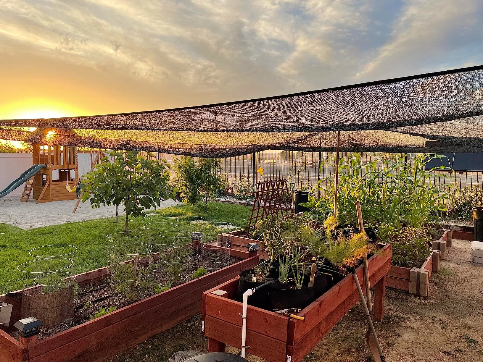 Exploring Bug Netting Techniques for Pest Control Solutions and Strategies Exploring Bug Netting Techniques for Pest Control Solutions and Strategies