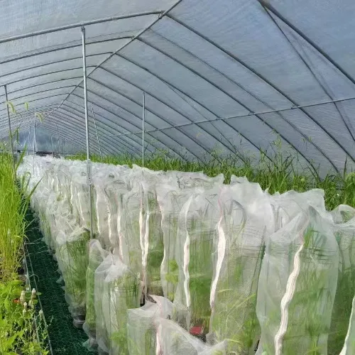 Read More About agricultural insect net