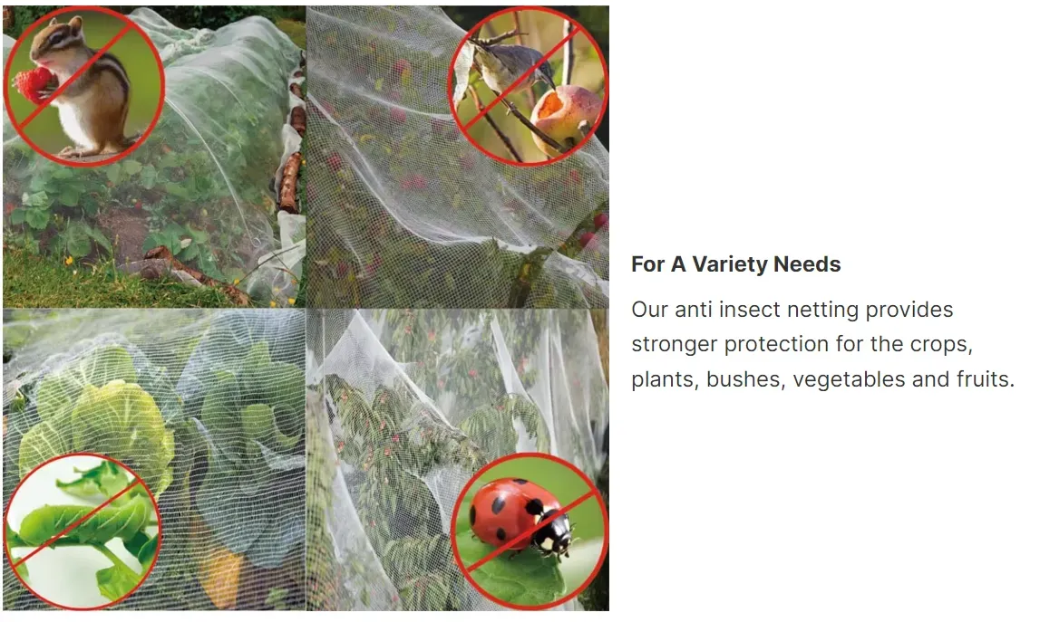 Read More About agricultural insect netting