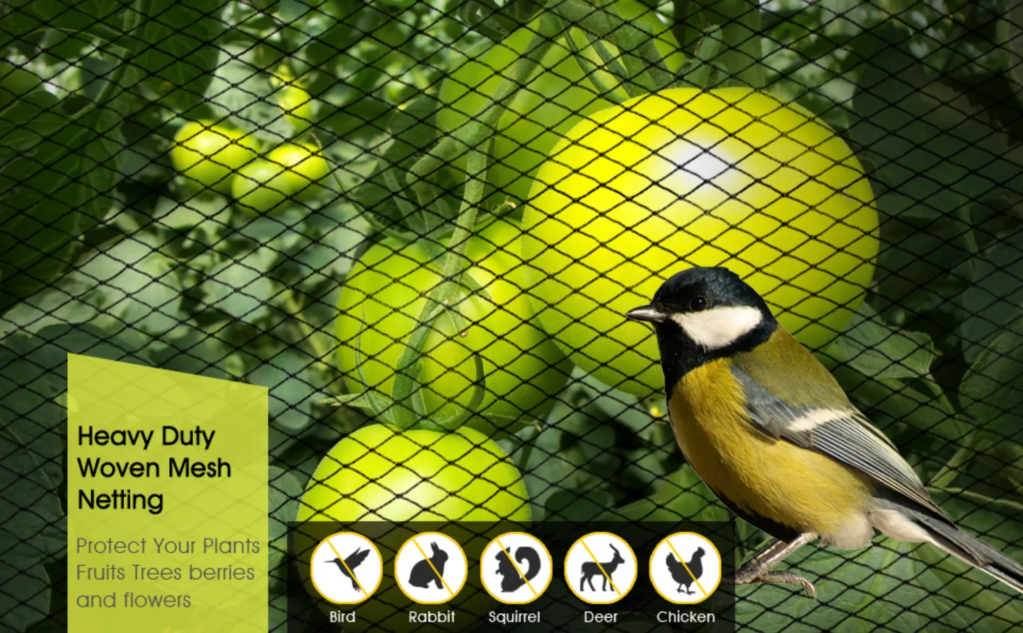 Read More About bird in net