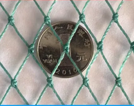 Read More About bird in net