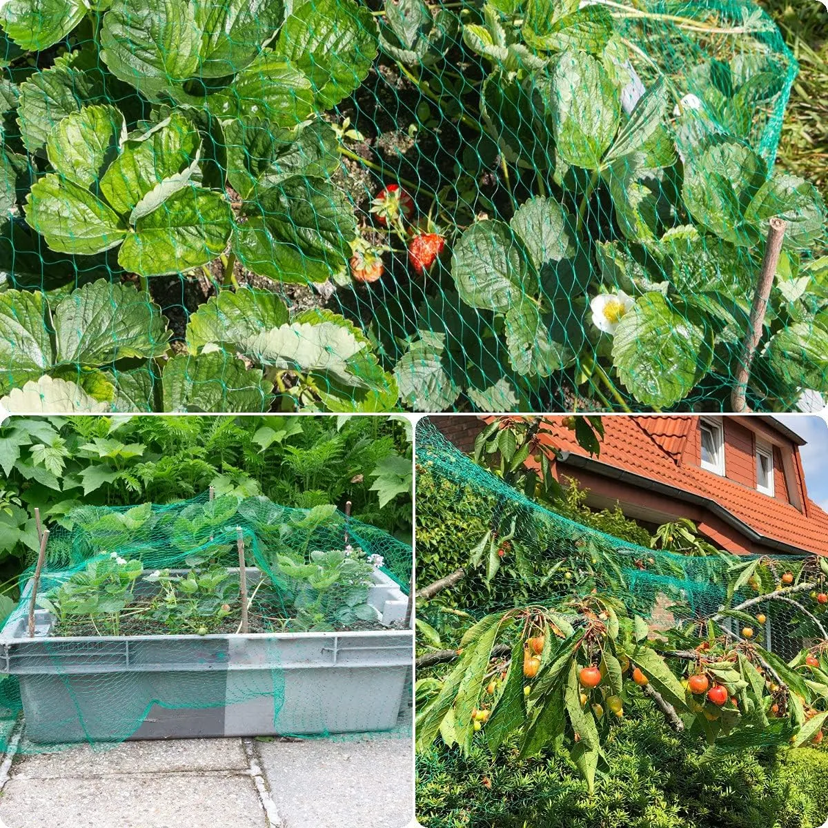 Read More About anti bird netting