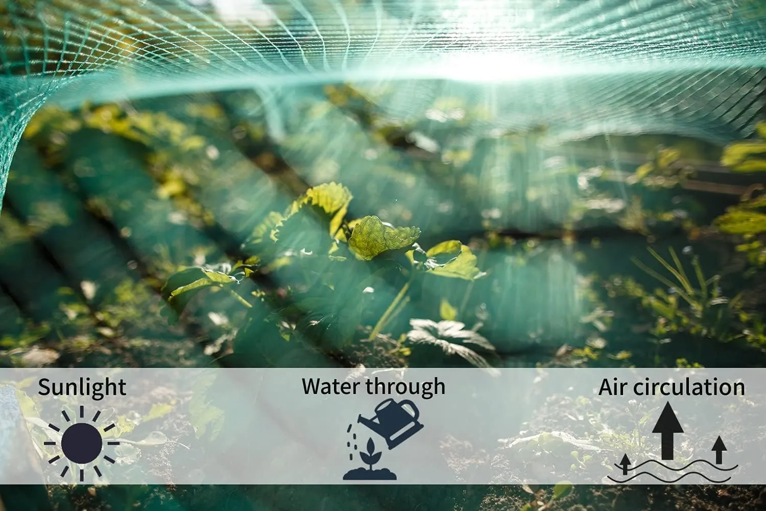 Read More About bird netting