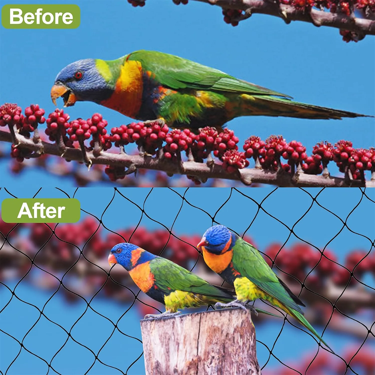 Read More About anti bird netting