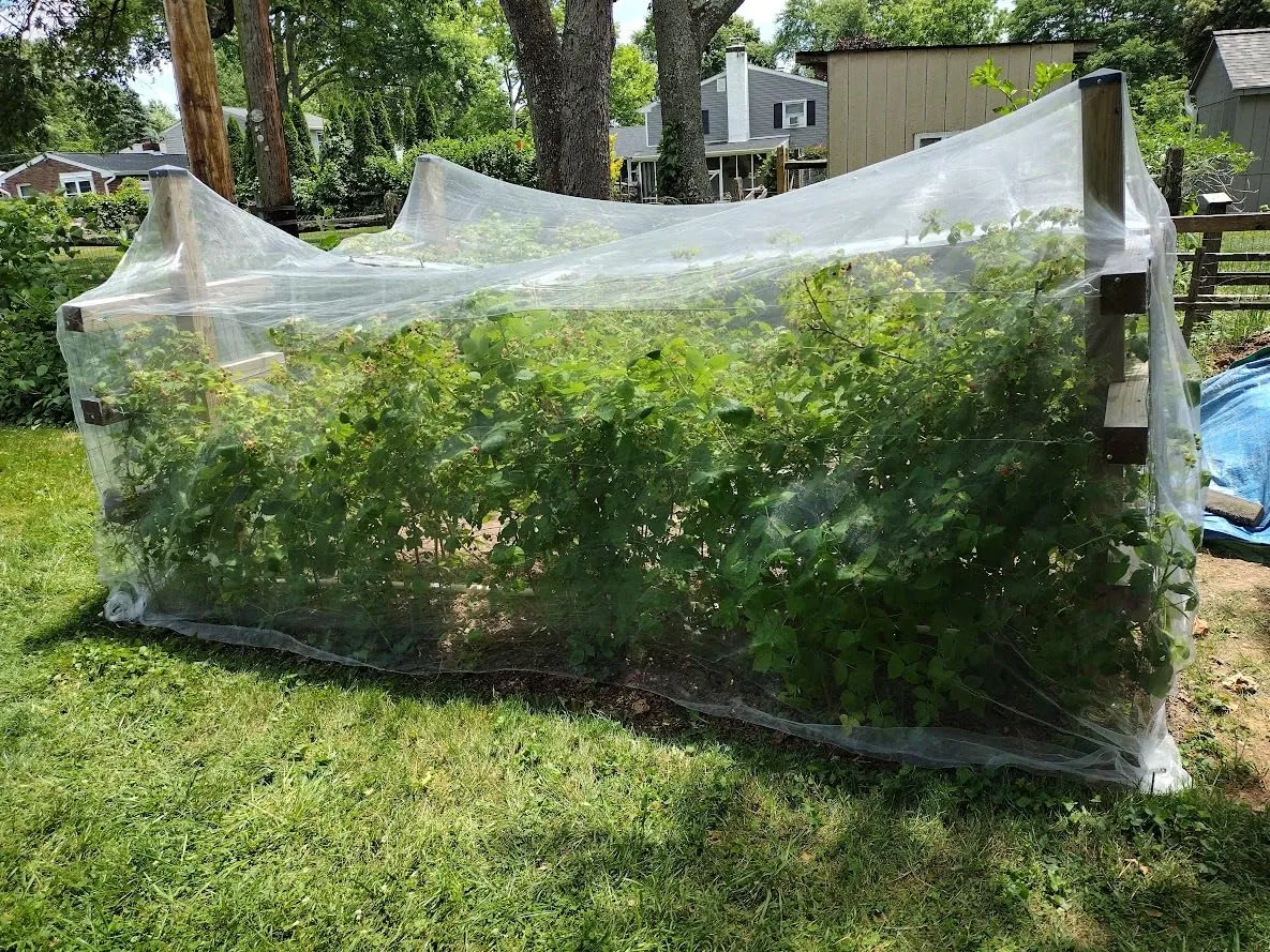 Net Benefits for Insect Conservation and Biodiversity Enhancement Strategies