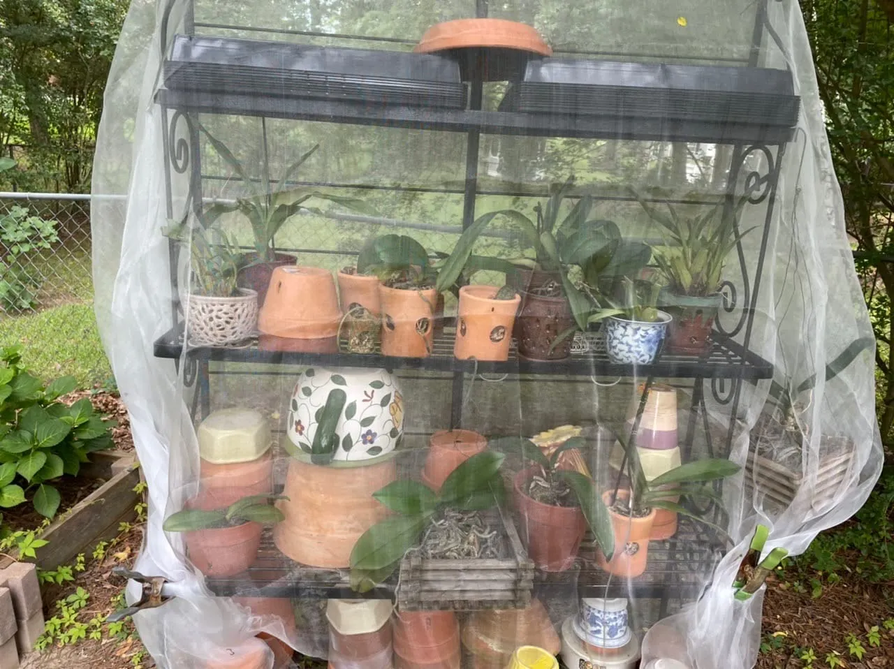 Read More About garden netting plastic