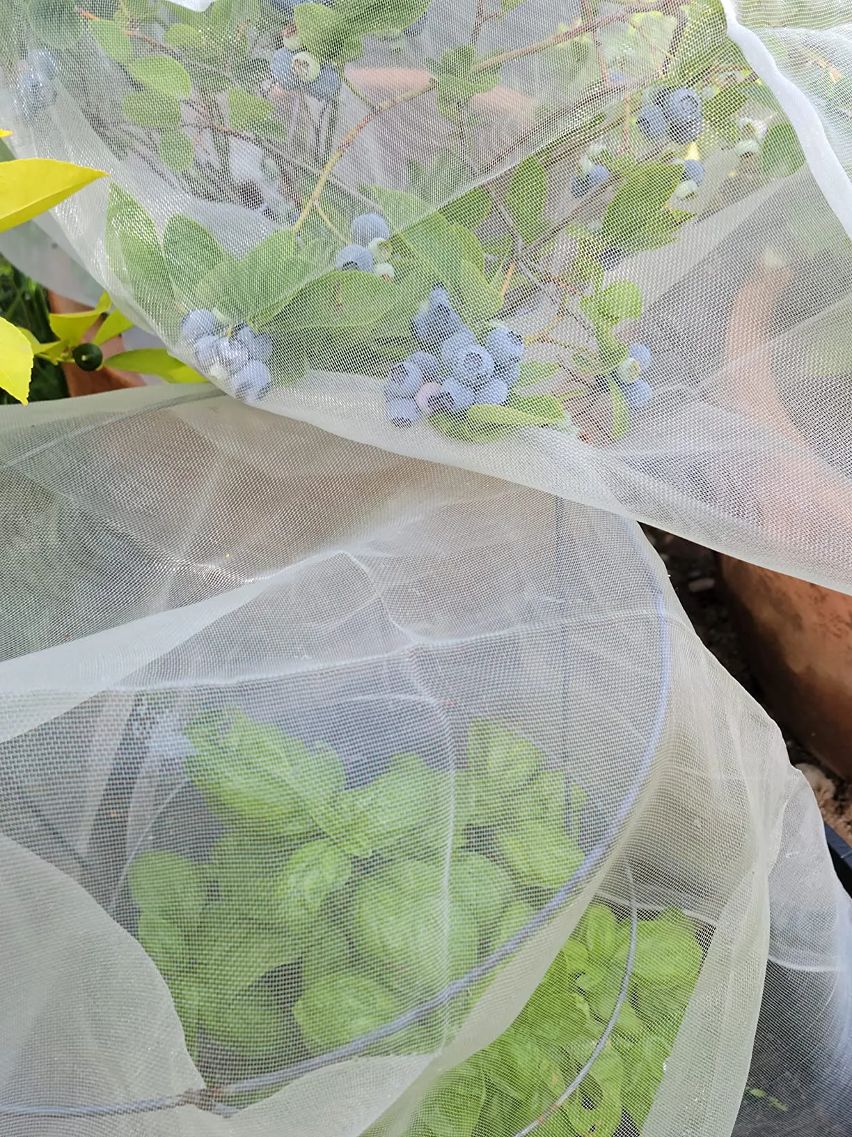 Read More About plastic garden netting