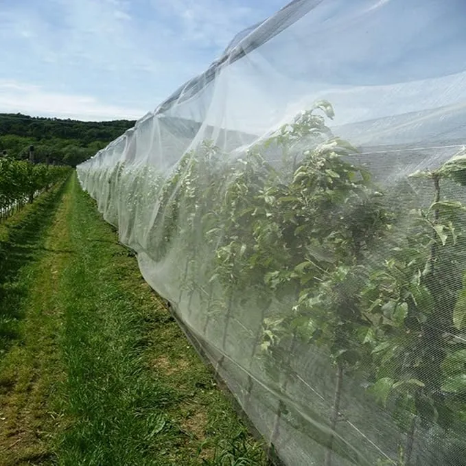 Read More About butterfly proof garden netting